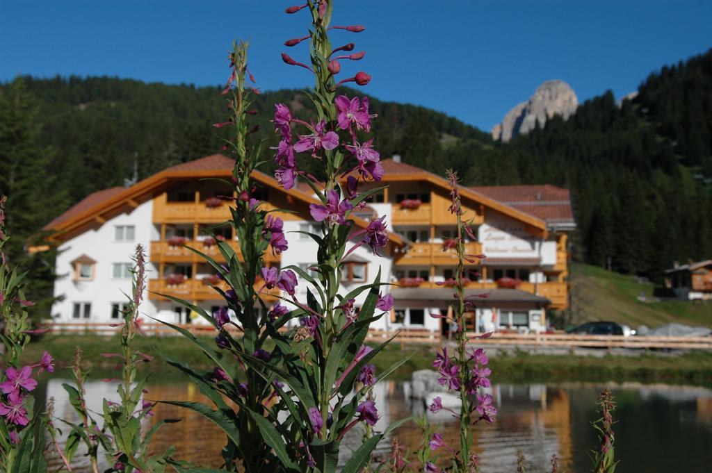 Wellness Hotel Lupo Bianco Каназей Екстериор снимка